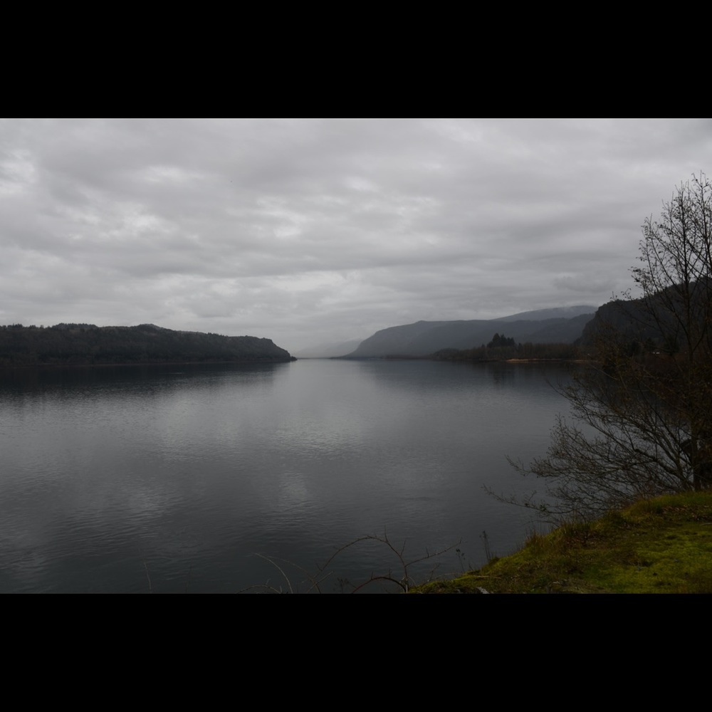 Meet your Posher, Leonardo